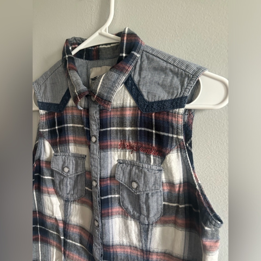 Harley Davidson Sleeveless Flannel Snap
Button Down Shirt Y2K M - Picture 2 of 6